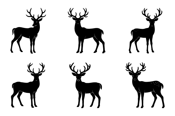 Deer Antlers Graphics for Brand Storytelling