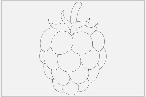 Raspberry Line Art: A Minimal Graphics Illustration